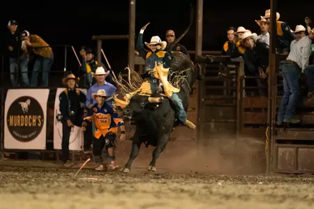 Bronc riding