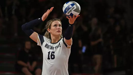 VB_24_GREENWALD_SERVE_USD