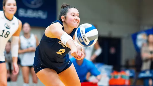 VB_25_LINDSETH_DIG_UNC