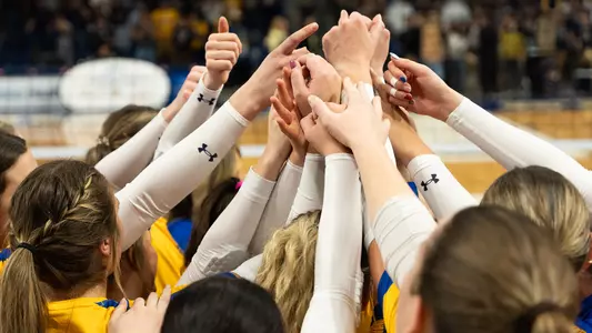 VB_24_CAT_GRIZ_ALL_HANDS_IN