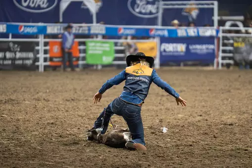 The Cats' WRodeo