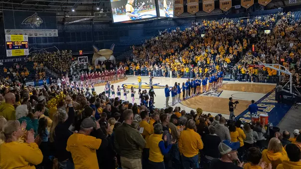 WBB_2425_CAT_GRIZ