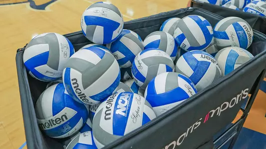 VB_25_Basket of Volleyballs