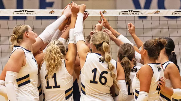 VB_25_HANDS_IN_PVAM_3