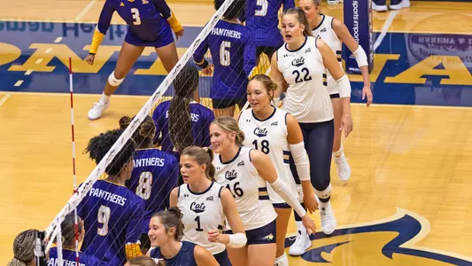 VB_25_HANDSHAKE_LINE_PVAM