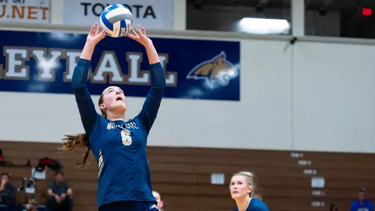 VB_25_JAYNES_SET_SCU_1