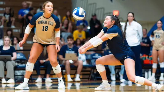 VB_25_LINDSETH_DIG_PSU_1