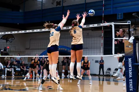 VB UT SUU Preview