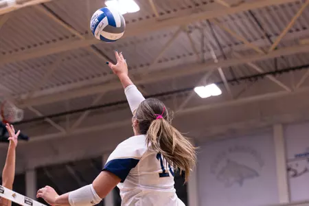 VB vs SUU Recap