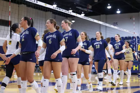 VB @ NAU