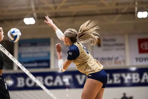 VB Marist Recap