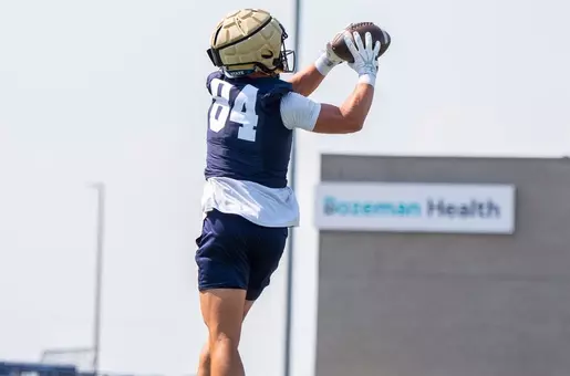 Dane Steel