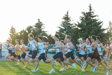 MSU Bobcat Twilight Men's 5k
