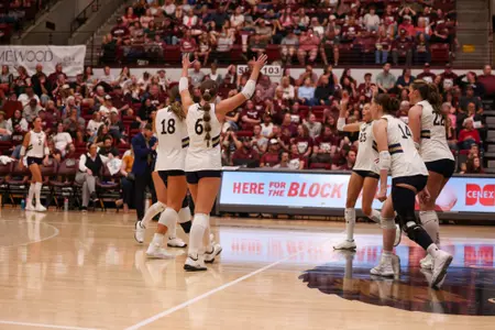 Cat-Griz VB