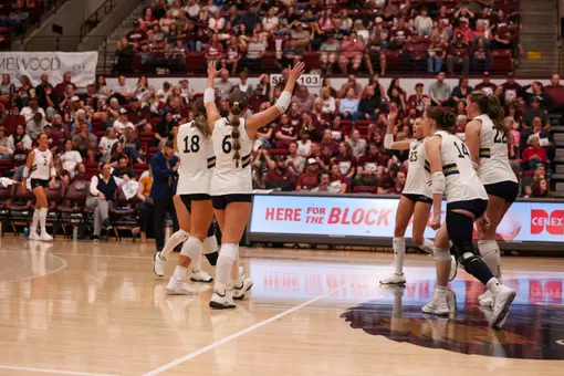 Cat-Griz VB