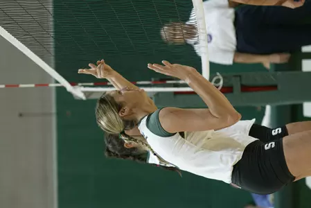 Megan Wallin tallied 17 kills vs. Michigan