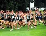 The Spartans finished in a 13th place tie with UCLA at the Roy Griak Invitational.
