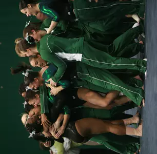 MSU Gymnastics