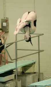 Danielle Williams scored in each diving event at the Big Ten Championships, then placed in the top 10 at the Canadian Senior National diving competition.
