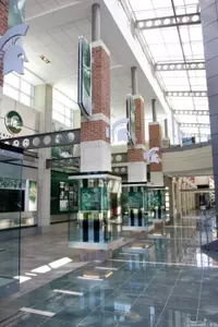 The Demmer Family Hall of History provides a public display for MSU's rich football tradition, highlighting the many accomplishments of its outstanding former players, coaches and teams.