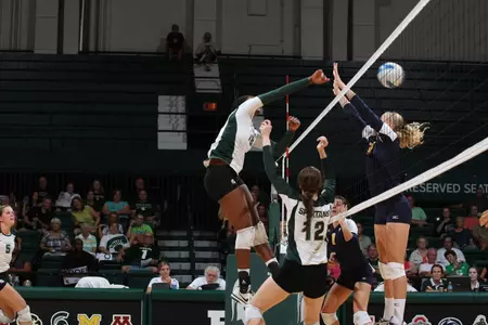 Junior Alexis Mathews had 10 kills on 14 attacks in a 3-0 win over McNeese State.