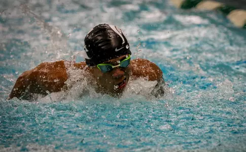 SWIM/DIVE