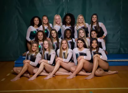 Gymnastics Team 3