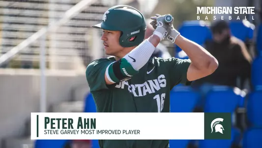 Peter Ahn 2020 Team Award Graphic