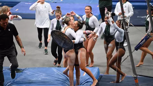 Gymnastics Green & White Bars