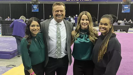 Gymnastics staff horizontal