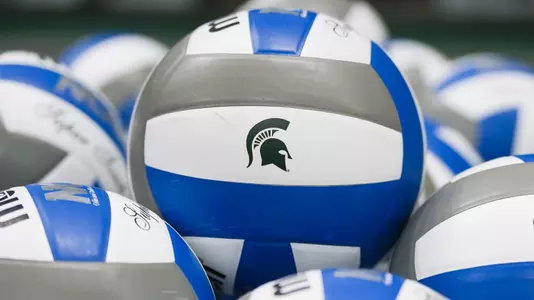 Volleyball, generic, volleyballs, spartan head