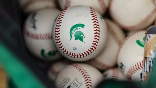 Baseball with Spartan Head in ball bag