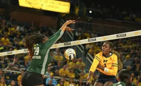 Amani McArthur, volleyball, 2023, Michigan