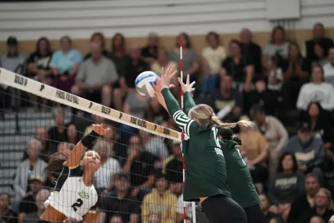 Doezema Moore, volleyball, action, 2024