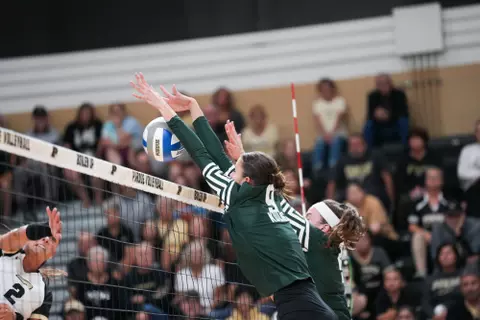 Kulig Bishop, volleyball, action, 2024