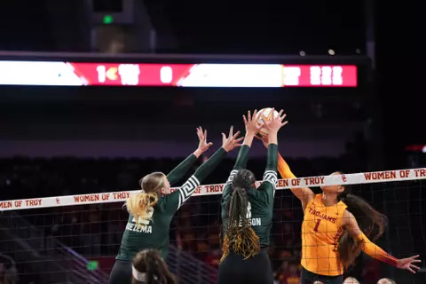 Doezema Anderson, volleyball, action, 2024