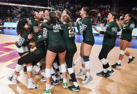 Celebration, volleyball, action, 2024