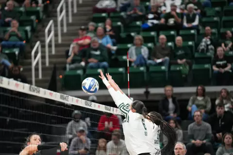 Okur Anderson, volleyball, 2024, action