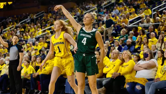 Theryn Hallock action at Michigan