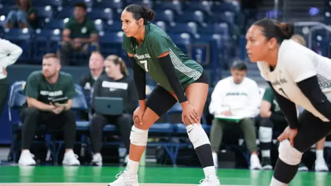 Taylor Preston, volleyball, action, 2024