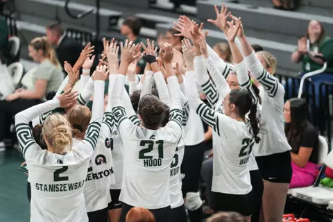 Bench celebration, volleyball, action, 2024