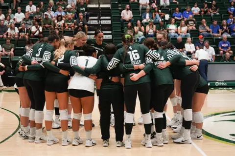 Team huddle, volleyball, action, 2024