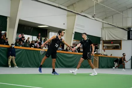 Ozan Baris and Aristotelis Thanos