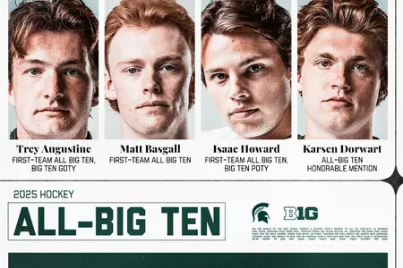 Hockey All-Big Ten