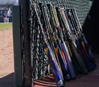 Baseball bats lined up along fence