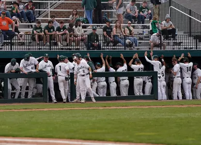 Team dugout celebration