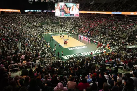 Volleyball At Breslin