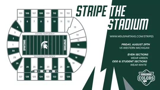 Stripe The Stadium