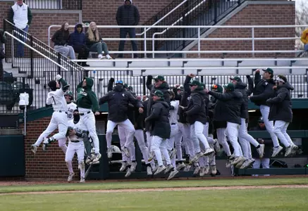 Ryan McKay and dugout celebrate HR by jumping in air