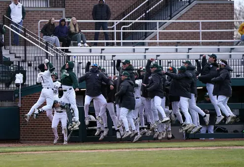 Ryan McKay and dugout celebrate HR by jumping in air